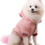 Dog Hoodie Luxury Dog Clothes Winter Puppy Jacket Classic Designer Pet Clothes Coat French Bulldog Teddy Pug
