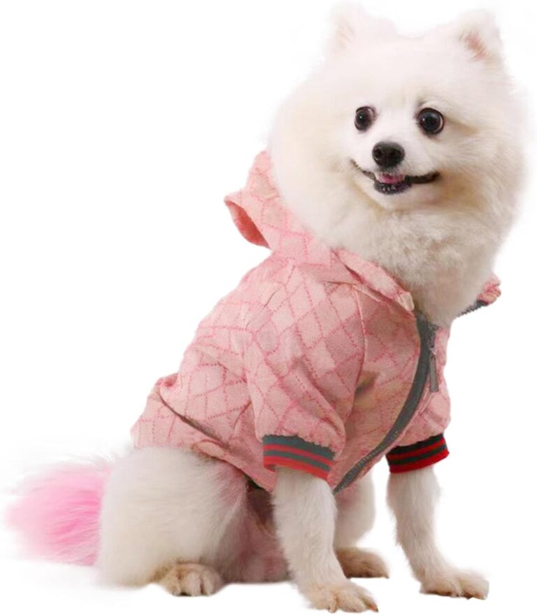 Dog Hoodie Luxury Dog Clothes Winter Puppy Jacket Classic Designer Pet Clothes Coat French Bulldog Teddy Pug