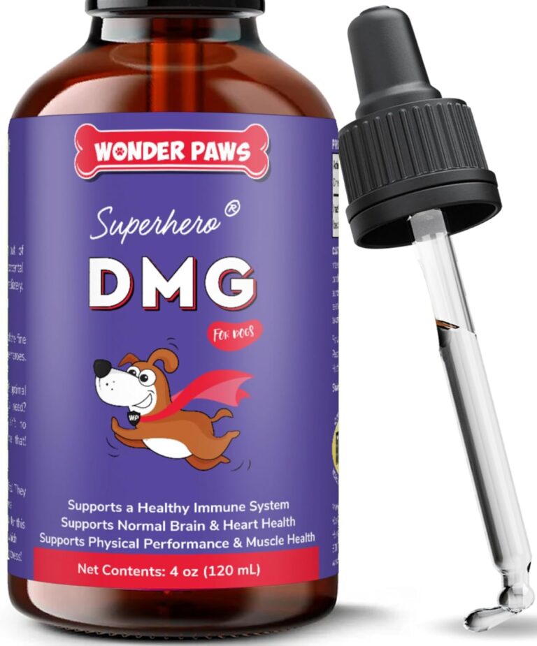 Premium DMG for Dogs  DMG Liquid to Support Immune Health, Skin, Stamina, Muscles, Stress & Performance - Dimethylglycine (DMG) for All Ages, Sizes & Breeds  4oz