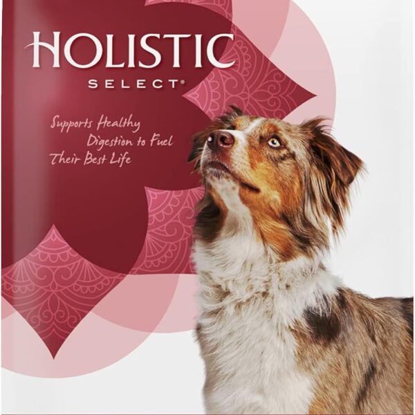 Holistic Select Natural Grain Free Dry Dog Food, Adult & Puppy Salmon, Anchovy & Sardine Recipe, 24-Pound Bag