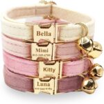 Personalized Colorful Velvet Cat Collar, Optional Bowtie/Leash/Airtag Holder, Custom Engraved Collar for Small Large Cat Kitten (Light Gold Buckle)