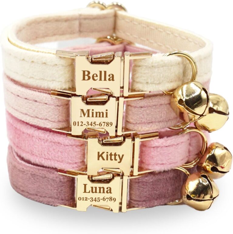Personalized Colorful Velvet Cat Collar, Optional Bowtie/Leash/Airtag Holder, Custom Engraved Collar for Small Large Cat Kitten (Light Gold Buckle)
