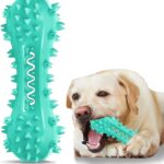 Dog Teeth Cleaning Toy for Training, Playing, Chewing - Squeaky Toys for Aggressive Chewers - Toothbrush Stick Bone for Medium Large Dogs (Blue)
