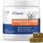 Oraticx PetBiome Probiotic Chew for Dogs - Supports Daily Digestive Health, Gut Balance, and Immune System - with Ginger Root, and Pumpkin Seed - Chicken Flavor, 90 Soft Chews