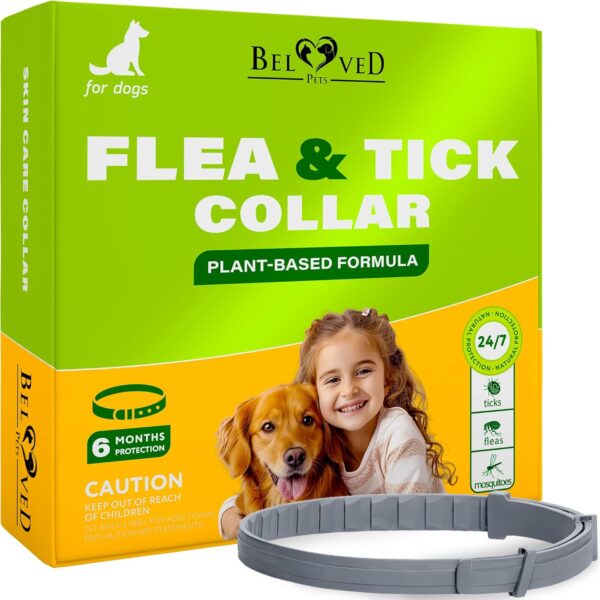 Natural Flea & Tick Collar for Dogs - 6 Months Control of Best Prevention & Safe Treatment - Anti Fleas and Ticks Essential Oil Repellent (1 Count (Pack of 1))