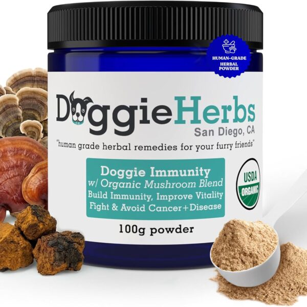 High Potency Immune Support  Critical Care Formula with Turkey Tail, Reishi & TCM Mushrooms + Herbs  Doctor Formulated Powder for Recovery, Vitality & Cellular Health 100g