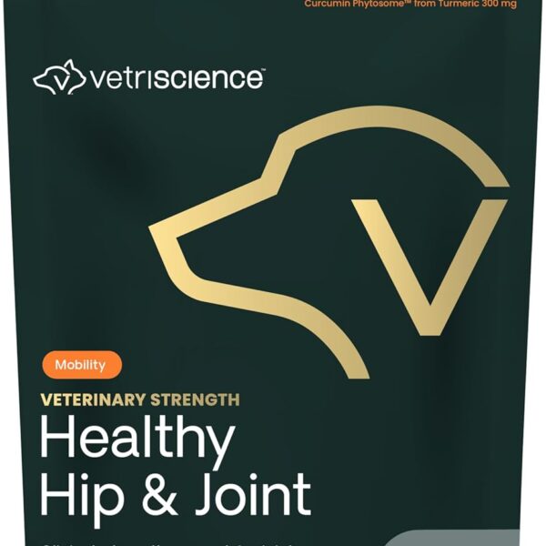 VETRISCIENCE Veterinary Strength Healthy Hip & Joint Chews - Joint Health Supplement for Dogs Over 60 Pounds - Supports Mobility & Flexibility in Large Dogs - 60 Count