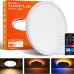 1 Pack Smart RGB Ceiling Light with Remote, 24W 2400LM, 12 Inch LED Flush Mount Ceiling Light Works with Alexa Google Home, Dimmable&2700K-6500K, Low Profile Wired Light for Bedroom Kitchen