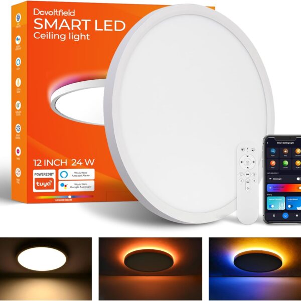 1 Pack Smart RGB Ceiling Light with Remote, 24W 2400LM, 12 Inch LED Flush Mount Ceiling Light Works with Alexa Google Home, Dimmable&2700K-6500K, Low Profile Wired Light for Bedroom Kitchen