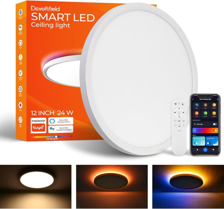 1 Pack Smart RGB Ceiling Light with Remote, 24W 2400LM, 12 Inch LED Flush Mount Ceiling Light Works with Alexa Google Home, Dimmable&2700K-6500K, Low Profile Wired Light for Bedroom Kitchen