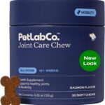 PetLab Co. Joint Care Chews - High Levels of Glucosamine for Dogs, Green Lipped Mussels, and Omega 3 - Dog Hip and Joint Supplement to Actively Support Mobility - Packaging May Vary - Salmon