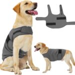 Dog Anxiety Jacket, Calming Jacket  Skin-Friendly Anti-Anxiety Vest for Thunder, Fireworks, Vet Visits and Separation  Helps Keep Dogs Relaxed Without Medicine or Complex Training(Dark Gray,S)