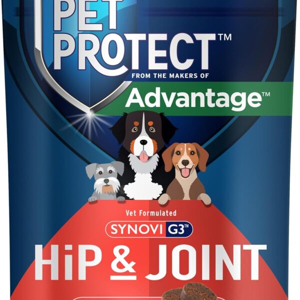 Pet Protect Dog Hip & Joint Supplement for Occasional Joint Stiffness, Vet-Formulated Synovi G3, Dog Glucosamine, Chicken-Flavored Soft Chews (240 Count)