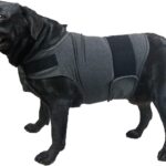 Breathable Dog Shirt for Thunderstorm, Dog Anxiety Vest Jacket Warp,Puppy Calming Coat Anxiety Relief (XL, Grey)