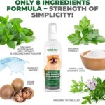 2-in-1 Dog Breath Freshener Spray & Water Additive - 8 oz Large - Natural Ingredients Dog Dental Care That Helps Avoid Bad Breath, Plaque, Tartar. Dog Teeth Cleaning, Fresh Breath with No Brushing