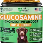 Glucosamine for Dogs  Hip & Joint Supplement with Chondroitin, MSM, Turmeric, Hemp Oil & Green Lipped Mussel  Arthritis Pain Relief, Mobility Support  Vet-Formulated, USA Made  120 Chews