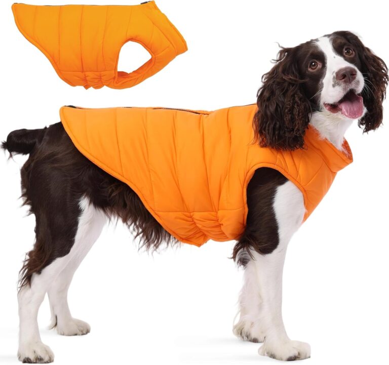 PUMYPOREITY Dog Puffer Coat with Detachable Scarf, Warm Padded Cold Weather Vest, Windproof Lightweight Snowsuit, Water Resistant Dog Winter Coats, Thermal Winter Jacket for Small Medium Large Dogs