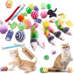 Cat Toys for Indoor Cats, 34 Packs Interactive Cat Toy Set with Colorful Springs Toys, Mouse Toy, Catnip Ropes, Balls, Bells, and Sisal Ball for Kittens