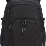 Amazon Basics Travel Laptop Backpack for 15.6 inch Laptop, Black | for 15.6 inch Laptop