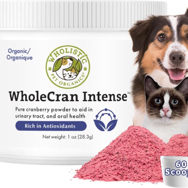 Wholistic Pet Organics WholeCran Intense: Organic Cranberry Powder for Dogs Urinary Tract Support Kidney Support for Dogs UTI Treatment Vitamin C and Antioxidants Dog Incontinence Product