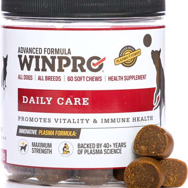 WINPRO Pet Daily Care Chews for Dogs, 60 Soft Chews, Plasma Powered, Grain Free Supplement for Dogs with Probiotics to Support A Healthy Immune System