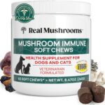 Real Mushroom Immune Pet Chews  For Daily Digestive & Immune Health  Mushrooms for Dogs & Cats Functional Treat  Mushroom Supplement for Dogs & Cats  1 to 4 Chews For All Breeds & Sizes (60 Count)