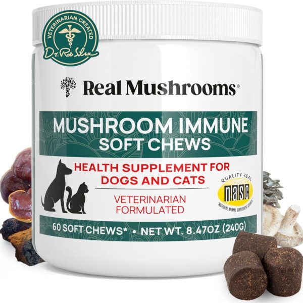 Real Mushroom Immune Pet Chews  For Daily Digestive & Immune Health  Mushrooms for Dogs & Cats Functional Treat  Mushroom Supplement for Dogs & Cats  1 to 4 Chews For All Breeds & Sizes (60 Count)