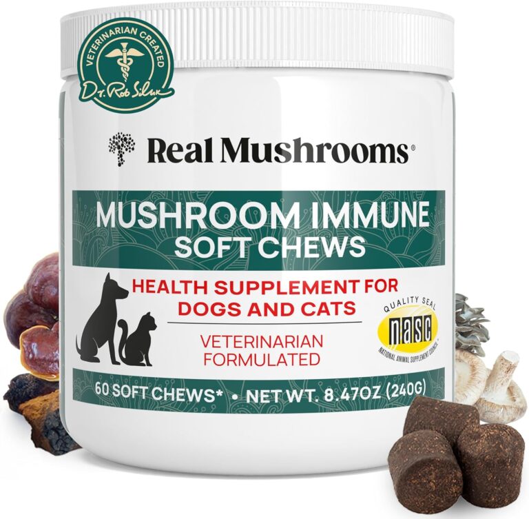 Real Mushroom Immune Pet Chews  For Daily Digestive & Immune Health  Mushrooms for Dogs & Cats Functional Treat  Mushroom Supplement for Dogs & Cats  1 to 4 Chews For All Breeds & Sizes (60 Count)