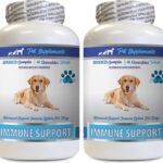 Immune Support Vitamins - Dogs Immune Support - Burdock Root Extract Organic - Burdock Root for Dogs - Immune Dog Pills, Immune Support for Dogs probiotic, Immune Support Supplement 2 Bot (120 Chews
