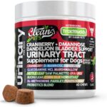 Cranberry for Dogs Urinary Tract Support | D-Mannose UTI Bladder Stones Dandelion Glucosamine HCL Marshmallow Nettle Leaf Saw Palmetto Uva Ursi Buchu Horsetail Methionine Parsley Supplement