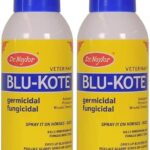 Dr. Naylor Blu-Kote Aerosol (128 Gram) - Fast Drying Antiseptic Wound Dressing Pack of 2