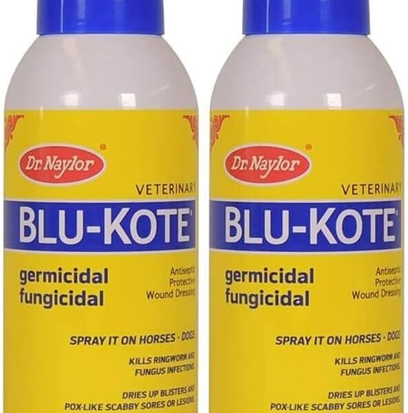 Dr. Naylor Blu-Kote Aerosol (128 Gram) - Fast Drying Antiseptic Wound Dressing Pack of 2