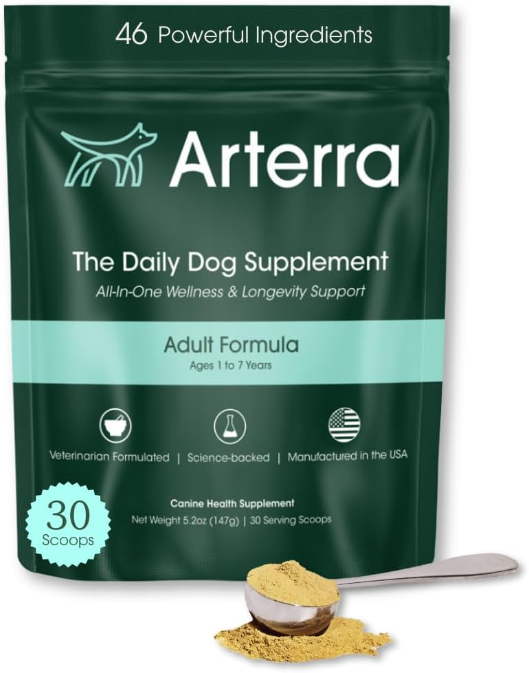 Adult Dog Powder Supplement & Food Topper 46 Ingredients for Gut, Immune & Brain Health Daily Longevity Multivitamin for Whole Body Wellness | 30 Scoops Adult Dog Powder Supplement & Food Topper 46 Ingredients for Gut, Immune & Brain Health Daily Longevity Multivitamin for Whole Body Wellness | 30 Scoops