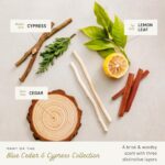 Cremo Cologne For Men – Blue Cedar & Cypress Mens Cologne Spray, A Woodsy Scent with Notes of Lemon Leaf, Cypress and Cedar, Multi-Layered Signature Men’s Fragrances, 3.4 Fl Oz