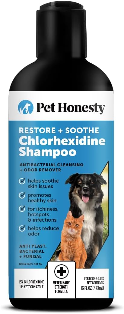 Pet Honesty Chlorhexidine Cat & Dog Seasonal Itch Relief Shampoo, for Allergies, Itching, Skin and Coat Supplement, Helps Shedding, Hot Spots, Deodorizing Dog Shampoo & Grooming Supplies,16oz Pet Honesty Chlorhexidine Cat & Dog Seasonal Itch Relief Shampoo, for Allergies, Itching, Skin and Coat Supplement, Helps Shedding, Hot Spots, Deodorizing Dog Shampoo & Grooming Supplies,16oz