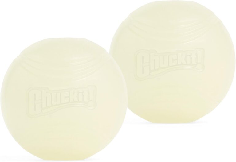 Chuckit! Glow in the Dark Bouncy Balls - Ball for Dogs, Chuckit Dog Toy, Max Glow Balls - Medium, 2.5 Inch Pack of 2
