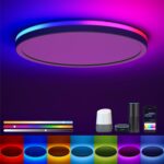 Matane Smart LED Ceiling Light WiFi, 12IN RGB Flush Mount Light Fixture, DIY Colors, Compatible with Alexa Google Home, 3000K-6500K Ceiling Lights for Bedroom, Living Room, White