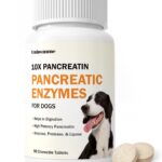 Pancreatic Enzymes for Dogs - 10x Pancreatin Formula for EPI Dog - Digestive Enzymes Tablets for Pet Pancreatic Concerns, Supports Buddy Digestive Stress, Healthy Weight Management - 90 Tablets