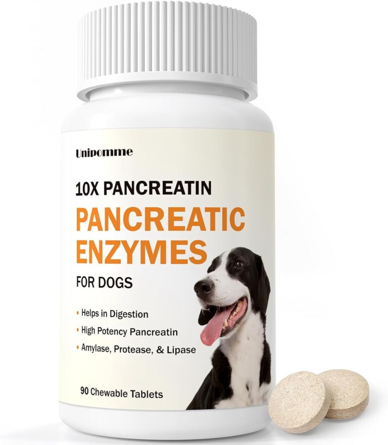 Pancreatic Enzymes for Dogs - 10x Pancreatin Formula for EPI Dog - Digestive Enzymes Tablets for Pet Pancreatic Concerns, Supports Buddy Digestive Stress, Healthy Weight Management - 90 Tablets