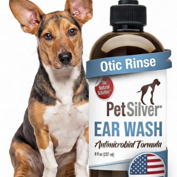 PetSilver Dog Ear Cleaner Solution  Gentle Ear Wash for Dogs and Cats with Chelated Silver  Otic Rinse Formula Targets Wax Buildup, Smelly Odor, and Itchy or Irritated Areas - Made in USA - 8 fl oz