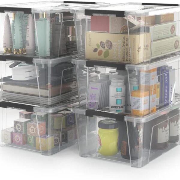 WYT Clear Storage Latch Bins, 6-Pack Storage Organizer Box with Handle and Lids, 5-Litre