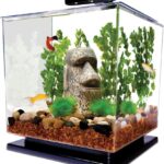 Tetra 3 Gallon Fish Tank, Aquarium Starter Kit with Pedestal Base, LED Light and Filter, For small tropical fish, guppies, goldfish, or betta