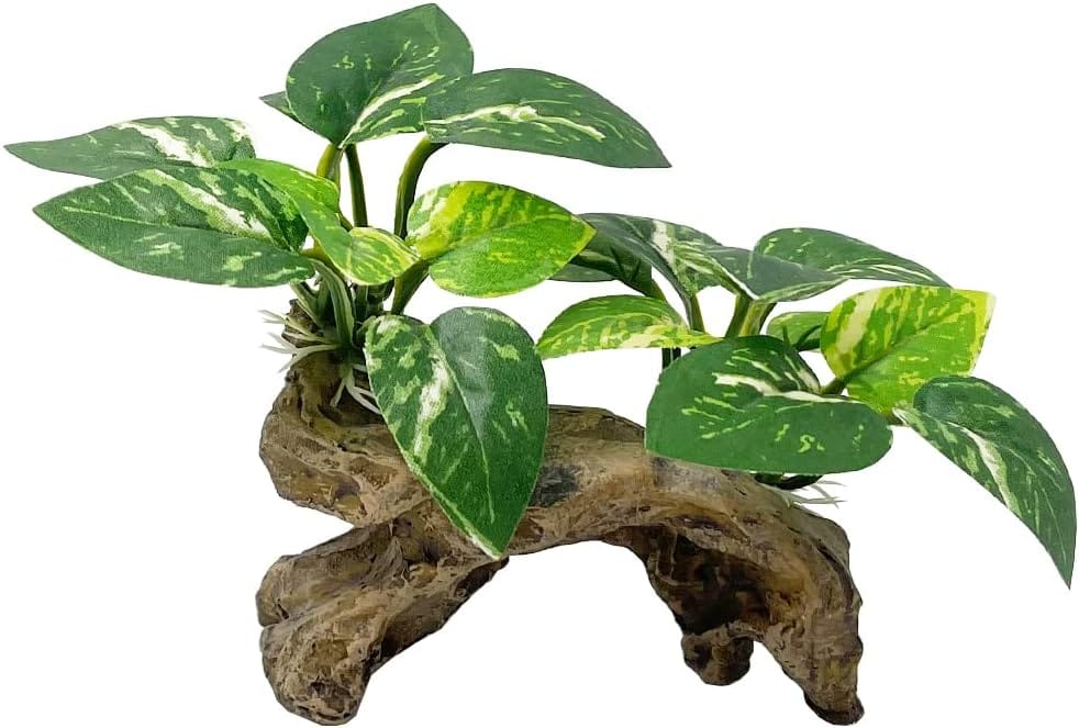 Smoothedo-Pets Fish Tank Decorations Aquarium Decor Ornaments Betta Silk Leaf pad Hammock Artifical Driftwood cave Goldfish Bowl Accessories (Type-C) Smoothedo-Pets Fish Tank Decorations Aquarium Decor Ornaments Betta Silk Leaf pad Hammock Artifical Driftwood cave Goldfish Bowl Accessories (Type-C)