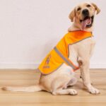 Orange Reflective Dog Safety Vest - High Visibility for Walking, Jogging & Training - Size L