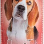 Bio-Groom Flea & Tick Dog Concentrate - Flea and Tick Prevention for Dogs, Cat Flea Treatment, Cruelty-Free, Made in USA, Natural Repellent, Pyrethrin Insecticide - 8 fl oz 1-Pack