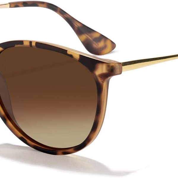 CHBP Polarized Sunglasses for Women Men - Trendy 2025 Vintage Classic Retro Round Mirrored Lens Designer Style