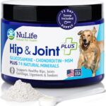 Advanced Glucosamine Powder for Dogs for Arthritis Pain Relief & Hip Dysplasia, Supports Joint Health & Reduces Inflammation with Glucosamine, Chondroitin, MSM & Coral Calcium, 6oz Powder