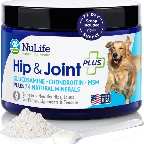 Advanced Glucosamine Powder for Dogs for Arthritis Pain Relief & Hip Dysplasia, Supports Joint Health & Reduces Inflammation with Glucosamine, Chondroitin, MSM & Coral Calcium, 6oz Powder