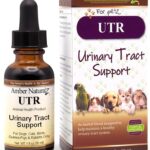 Amber NaturalZ UTR Urinary Tract Herbal Supplement for Dogs, Cats, Birds, Guinea Pigs, and Rabbits | Pet Herbal Supplement for Bladder Support | 1 Fluid Ounce Glass Bottle | Manufactured in The USA