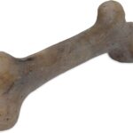 Pet Qwerks Dinosaur BarkBone, Nylon Dog Bone for Aggressive Chewers Chew Dog Toy, Bacon Flavor - Medium 8.5"